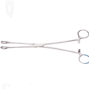 MG St Foerster Sponge Forceps 25cm (C20)